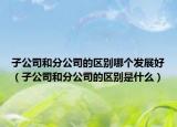 子公司和分公司的区别哪个发展好（子公司和分公司的区别是什么）