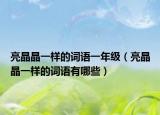 亮晶晶一样的词语一年级（亮晶晶一样的词语有哪些）