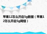 苹果12怎么开启5g数据（苹果12怎么开启5g网络）