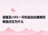 诺基亚c501一开机就自动黑屏但键盘还在为什么