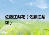 佐藤江梨花（佐藤江梨花）