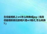 在佳能相机上cr2怎么转换成jpg（我用佳能相机照出的相片是cr2格式,怎么转换?）