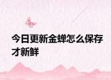 今日更新金蝉怎么保存才新鲜