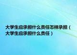 大学生应承担什么责任怎样承担（大学生应承担什么责任）