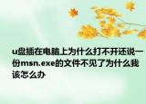 u盘插在电脑上为什么打不开还说一份msn.exe的文件不见了为什么我该怎么办