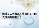 赵薇丈夫黄有龙（黄有龙（中国女演员赵薇老公））