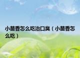小茴香怎么吃治口臭（小茴香怎么吃）