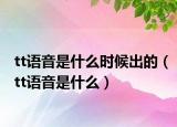 tt语音是什么时候出的（tt语音是什么）