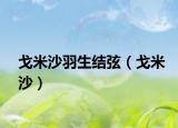 戈米沙羽生结弦（戈米沙）