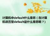 计算机中default什么意思（在计算机语言里default是什么意思呢 ?）
