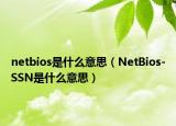 netbios是什么意思（NetBios-SSN是什么意思）