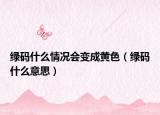 绿码什么情况会变成黄色（绿码什么意思）