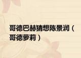 哥德巴赫猜想陈景润（哥德萝莉）