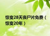 惊变28天丧尸片免费（惊变20年）