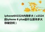 iphone6A1524内存多大（a1524的iphone 6 plus是什么版本多大存储空间）