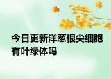 今日更新洋葱根尖细胞有叶绿体吗