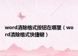 word清除格式按钮在哪里（word清除格式快捷键）