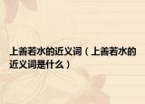 上善若水的近义词（上善若水的近义词是什么）