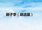 刷子李（刷流量）