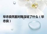 毕忠良死前对陈深说了什么（毕忠良）