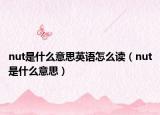 nut是什么意思英语怎么读（nut是什么意思）