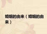 婚姻的由来（婚姻的由来）
