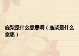 鹿柴是什么意思啊（鹿柴是什么意思）