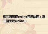 真三国无双online开场动画（真三国无双Online）