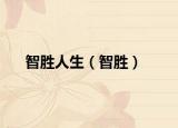 智胜人生（智胜）