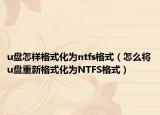 u盘怎样格式化为ntfs格式（怎么将u盘重新格式化为NTFS格式）