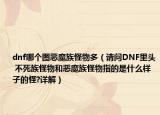 dnf哪个图恶魔族怪物多（请问DNF里头 不死族怪物和恶魔族怪物指的是什么样子的怪?详解）