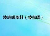 凌志辉资料（凌志辉）