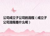 公司成立子公司的流程（成立子公司流程是什么呢）