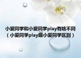 小爱同学和小爱同学play有啥不同（小爱同学play跟小爱同学区别）