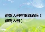 醉驾入刑有望取消吗（醉驾入刑）