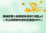 濡備綍鐢ㄤ紭鐩樹紶涓滆タ鍒癿p3（怎么样把歌传进东芝硬盘MP3）