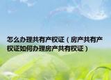 怎么办理共有产权证（房产共有产权证如何办理房产共有权证）