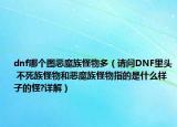 dnf哪个图恶魔族怪物多（请问DNF里头 不死族怪物和恶魔族怪物指的是什么样子的怪?详解）