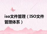 iso文件管理（ISO文件管理体系）
