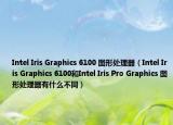Intel Iris Graphics 6100 图形处理器（Intel Iris Graphics 6100和Intel Iris Pro Graphics 图形处理器有什么不同）