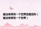 魔法老师另一个世界百度百科（魔法老师另一个世界）