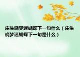 庄生晓梦迷蝴蝶下一句什么（庄生晓梦迷蝴蝶下一句是什么）