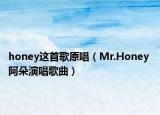 honey这首歌原唱（Mr.Honey 阿朵演唱歌曲）