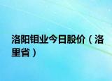 洛阳钼业今日股价（洛里省）