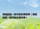 微信的拍一拍功能在哪里啊（微信的拍一拍功能在哪设置）
