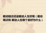 驱动精灵还是驱动人生好用（驱动精灵和 驱动人生哪个更好为什么）