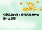 沙漠风暴的梗（沙漠风暴是什么梗什么意思）