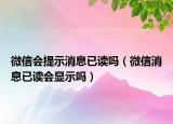 微信会提示消息已读吗（微信消息已读会显示吗）