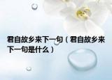 君自故乡来下一句（君自故乡来下一句是什么）