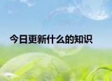 今日更新什么的知识